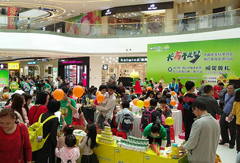 S36沙龙会 - 要玩就玩沙龙会